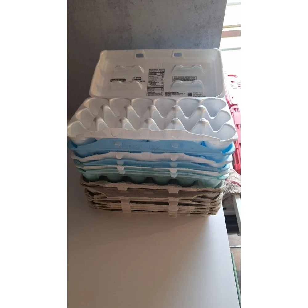 EGG CARTON LOT 15 MIXED PAPER PULP STYROFOAM CHICKEN FARM SUPPLIES